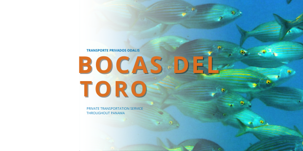 Bocas del Toro